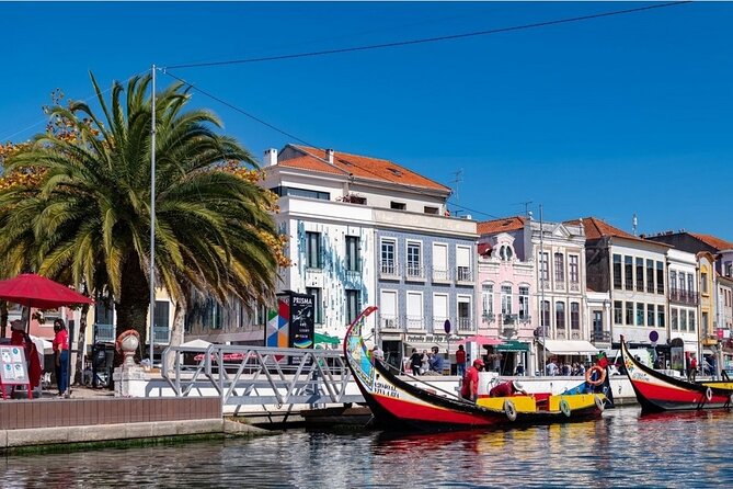 Private Trip to Aveiro and Coimbra Departing From Porto - Trip Details