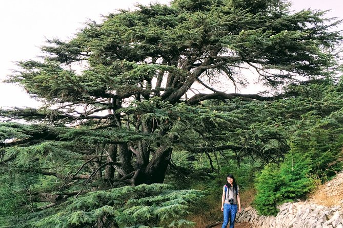 Private Trip to Beiteddine, Deir El Qamar & Maaser El Chouf Cedars
