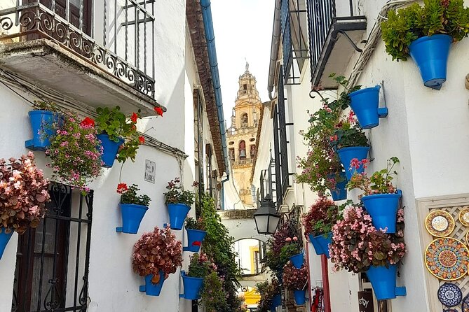 Private Trip to Cordoba From Costa Del Sol - Good To Know