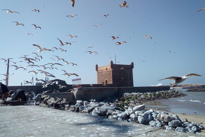 Private Trip to Essaouira up To 6 People - Good To Know