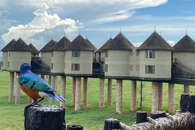 10 Best Tours In Malindi
