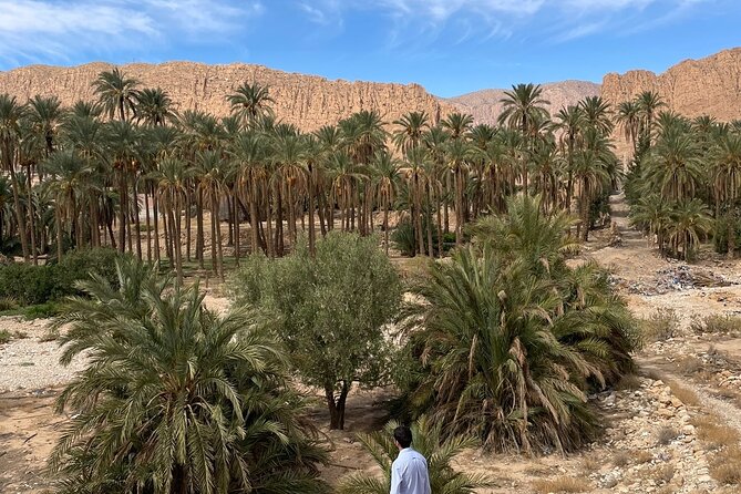 Private Two-Day Tour in Biskra Date Palm Grove - Good To Know