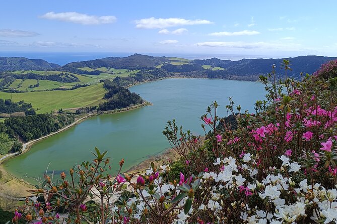 Private Van Tour to Furnas Vale, Gorreana Tea Factory