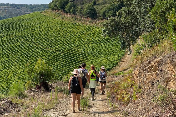 Private Walk Through Quinta Do Portal With Lunch and Wine - Good To Know
