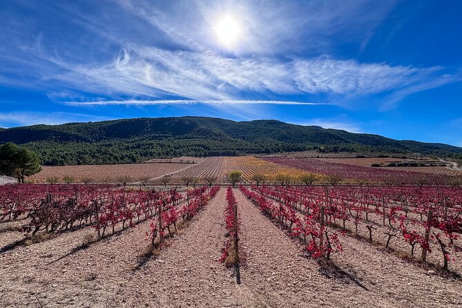 Private Wine Tour to the Costa Blanca Wineries - Good To Know