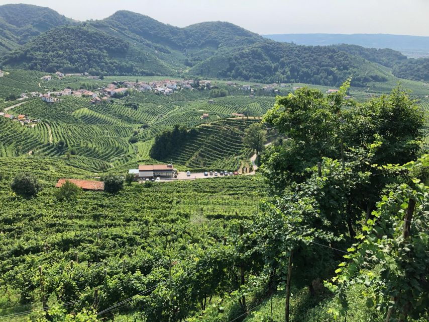 Prosecco Adventure in the Unesco Hills - Good To Know