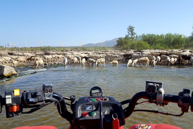 Quad Bikes for Guided Tours. - Location and Meeting Point