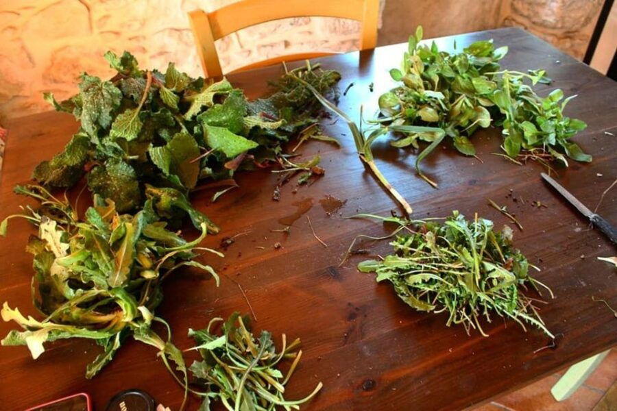Ragusa Countryside Home Cooking Class & Meal
