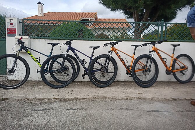 Rent a Bike Full Day From Coimbra - Location: Coimbra, Portugal