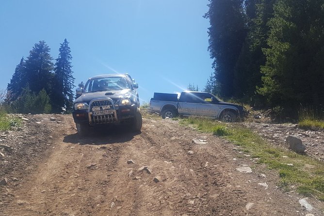 Review of Jeep Safari Experience - Good To Know