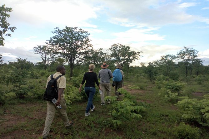 Rhino & Nature Walk in the Musiotunya National Park - Good To Know