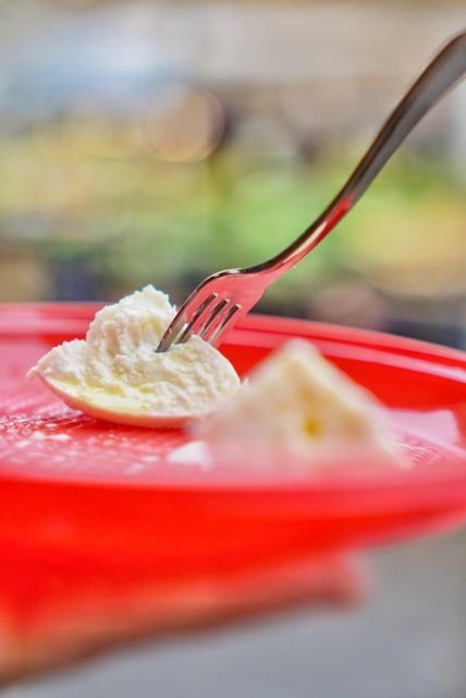 Rome : A Cool, Classic Rome Food Tour in a Small Group - Activity Description