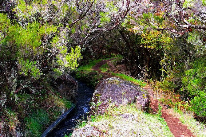 Rosemary Trail - Good To Know