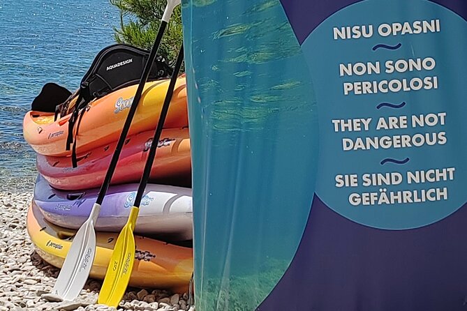 Rovinj Golden Cape Desert Islands Kayak & Snorkeling Tour - Tour Overview