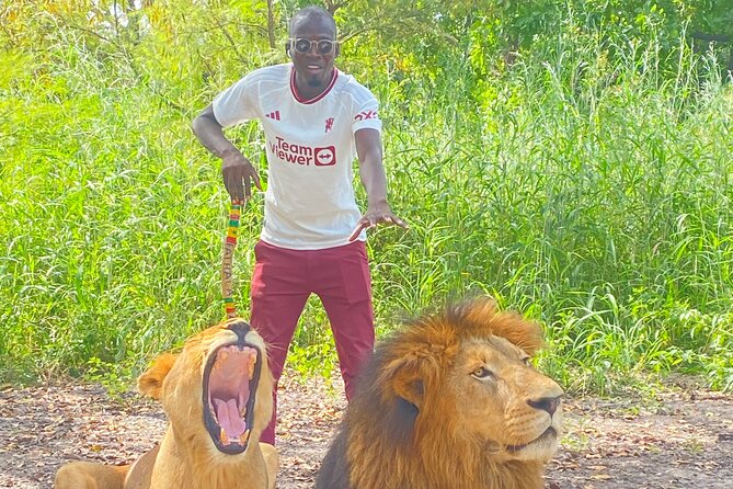 Safari and Walk With Lions in Fathala - Good To Know