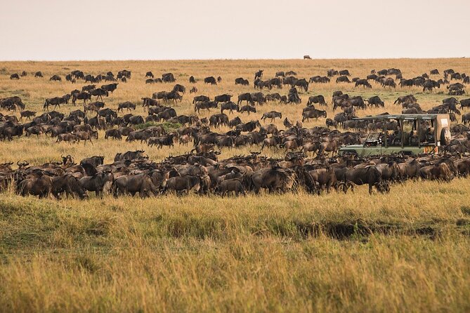 Safari From Zanzibar:3 Days Serengeti Balloon Safari With Flights - Good To Know