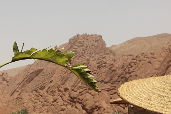 Sahara Desert Family Tour - Inclusions and Exclusions