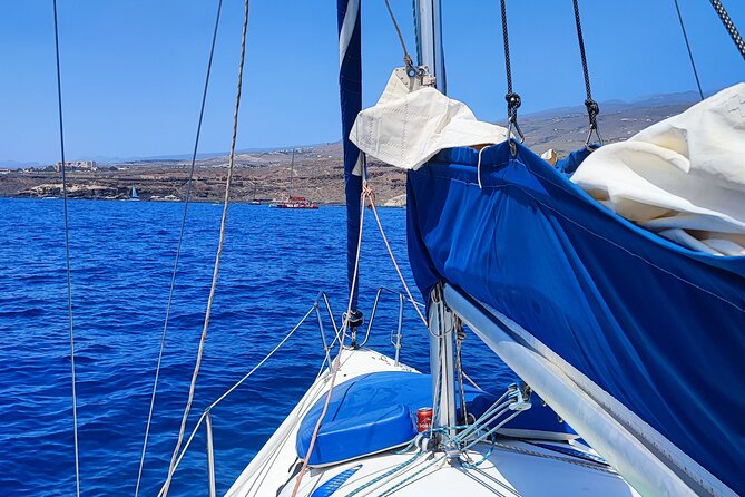 Sailing Experience From Costa Adeje - Good To Know