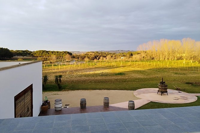 Salento Wineries Tour From Matera - Good To Know