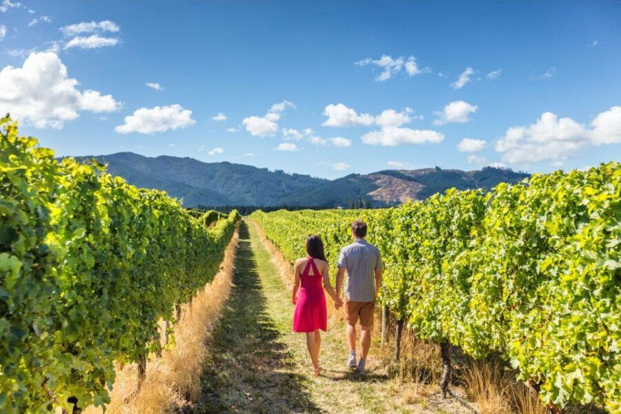 San Gimignano: Vineyard Walk With Wine Tasting in Winery