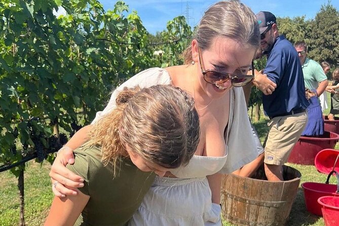 San Gimignano Wine Tour and Tuscan Lunch for Small Group