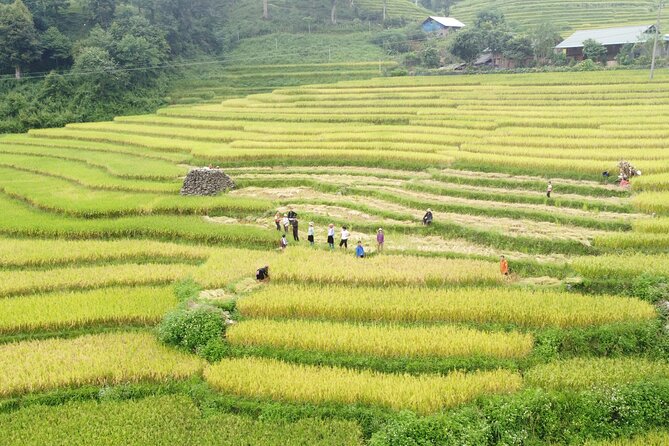 Sapa 3 Days 2 Nights From Hanoi Trekking With Local People - Good To Know
