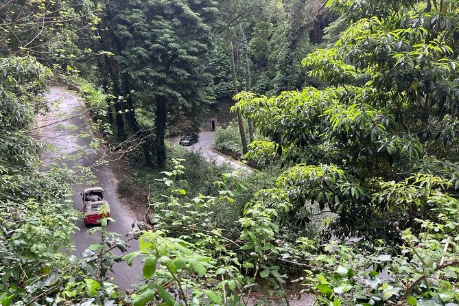 Scenic Hiking Tour in Sintra - Good To Know