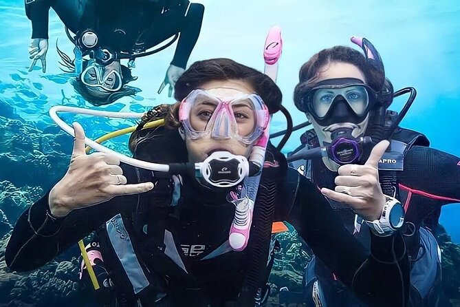 Scuba Diving Adventure in Alanya With Lunch & Hotel Transfer - Good To Know