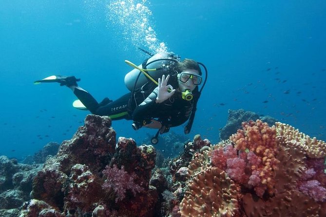 Scuba Diving Experience From Side - Good To Know