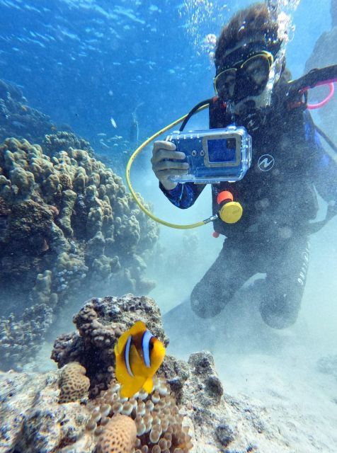 2 Best Scuba Diving Experiences In Lecce