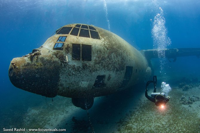 Scuba Diving for Certified Divers