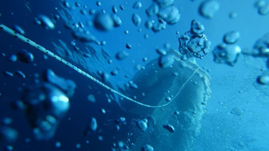 2 Best Scuba Diving Experiences In Milazzo