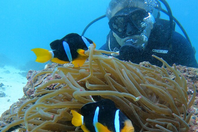 Scuba Diving in Muscat