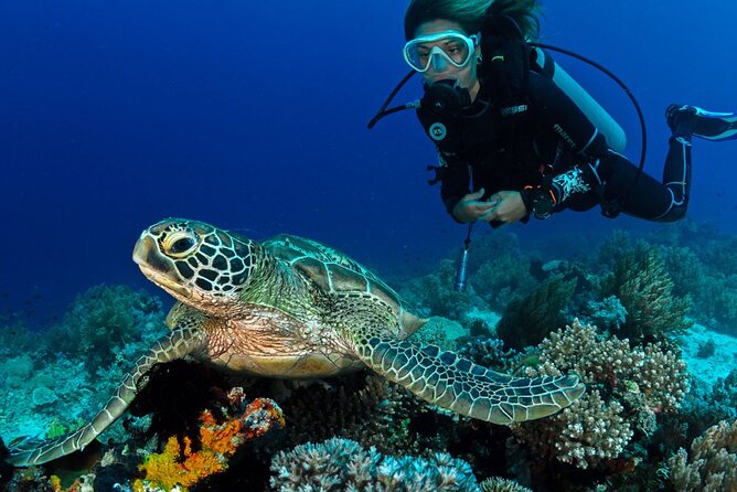 Scuba Diving to Dimaniyat Islands Muscat Oman