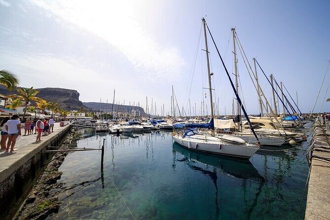 Self-Guided Mogan Tour by Boat - Good To Know