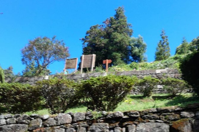 Sete Cidades Lagoa Do Fogo79.99€ per Person With Lunch Minim 2 - Activity Location