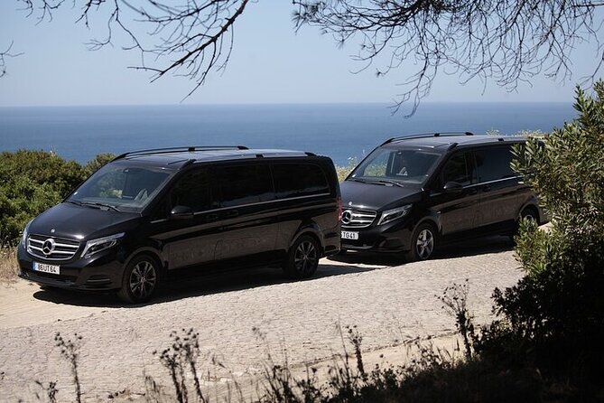 Setubal Private Wine Tour, Food Tasting, Beaches, Palaces and Art - Good To Know