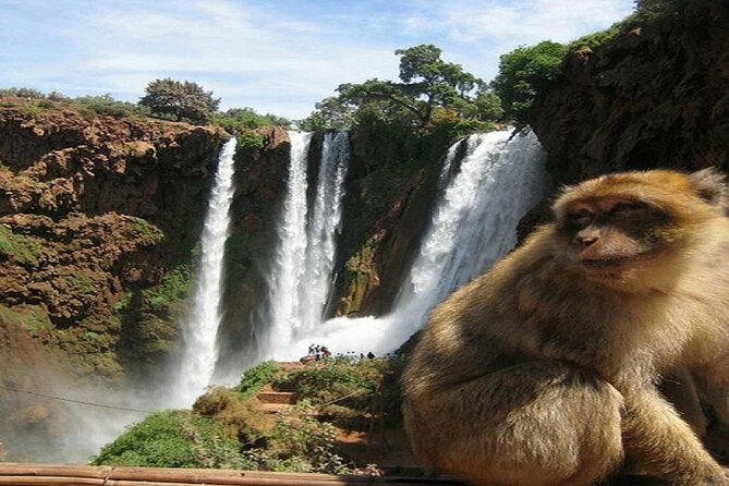 Shared Group Day Trip to Ouzoud From Marrakech - Good To Know