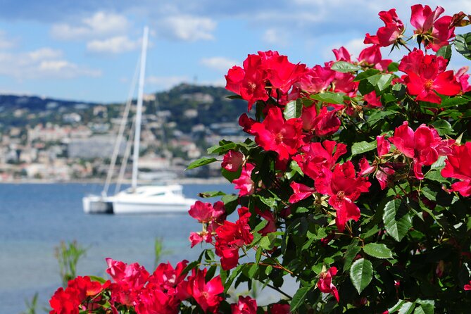 Shore Excursion to Grasse, Antibes, St Paul De Vence From Cannes - Tour Itinerary