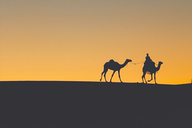 Siwa Oasis Camel Ride & Sandboarding Sunset or Sunrise - Good To Know