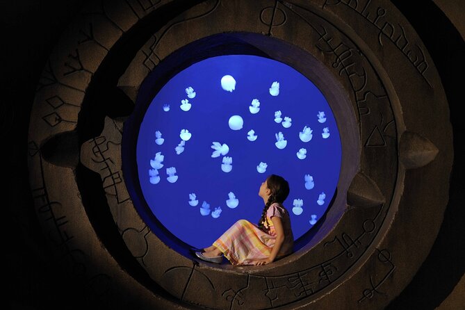 Skip The Line : Atlantis Lost Chambers Aquarium - Good To Know