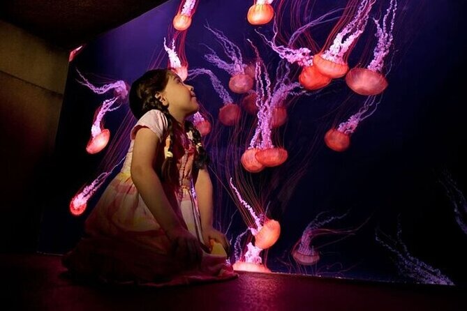 Skip The Line: Atlantis The Lost Chambers Aquarium