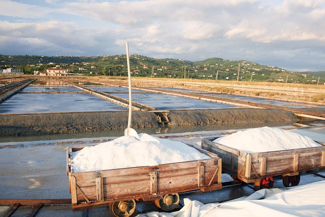 Skocjan Caves & Secovlje Salt Pans | Private off Cruise Excursion From Koper - Good To Know