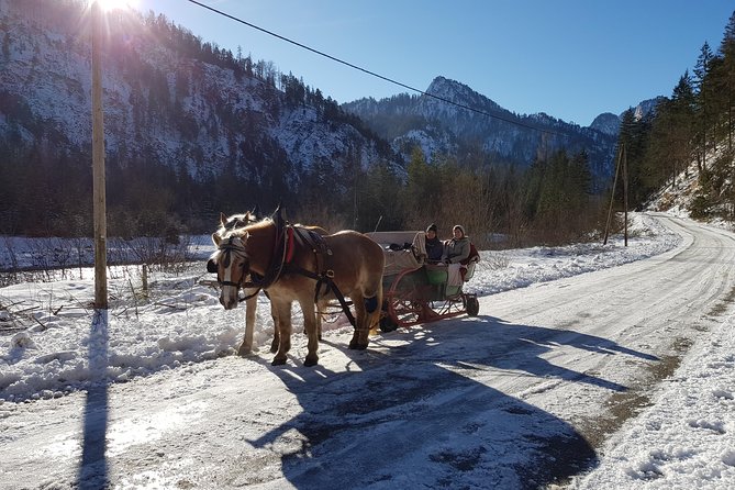 Sleigh Ride in the Wildalpen - Good To Know