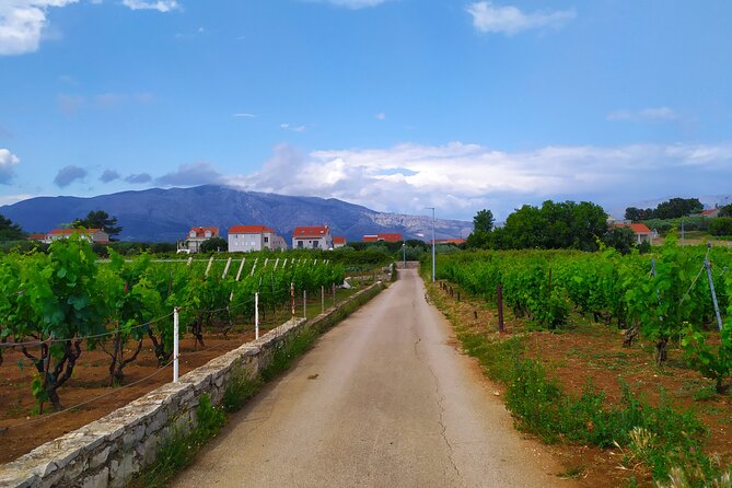 Slurp of Greek Wine Tour
