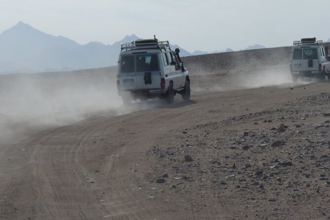 Small Group Full Day Hurghada Experience With BBQ and Show