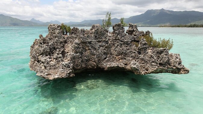 Snorkel With Dolphins, Lunch on Benitiers Island, Speedboat - Good To Know