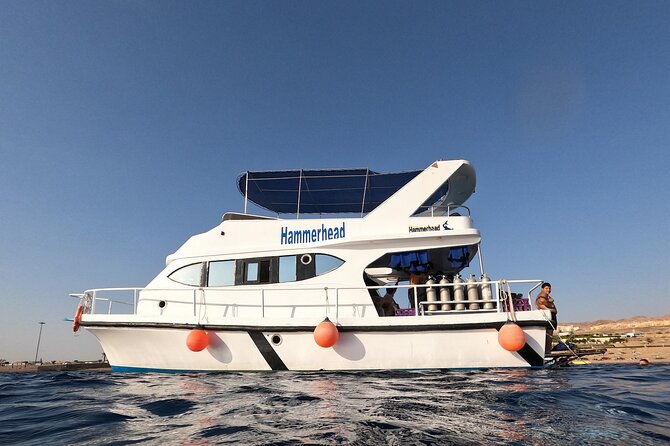 Snorkeling Activity in Aqaba With Lunch and Transportation (Boat) - Pickup and Transportation