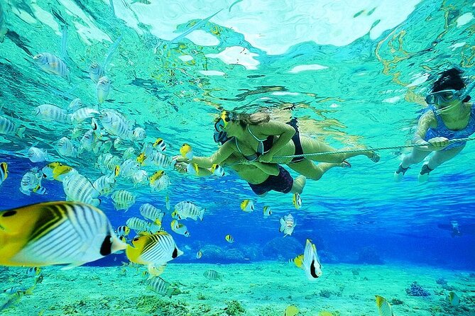 Snorkeling Tour to Marsa Mubarak With Optional Diving -Marsa Alam - Good To Know