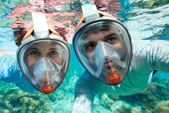 Snorkeling Trip From Muscat - Good To Know